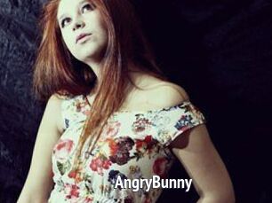 AngryBunny