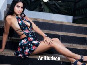 AniHudson