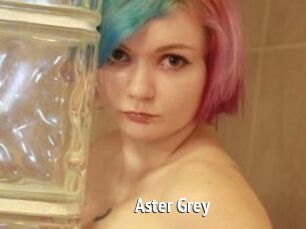 Aster_Grey