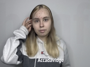 Accadavidge