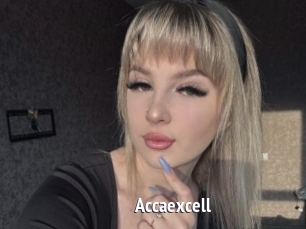 Accaexcell