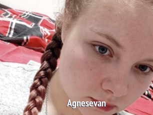 Agnesevan