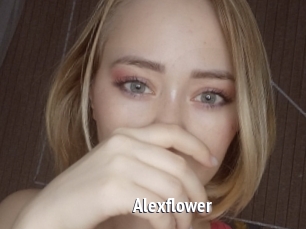 Alexflower