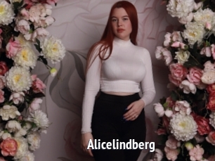 Alicelindberg