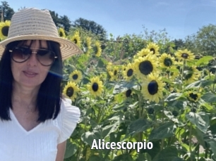 Alicescorpio