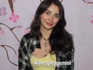 Alicespicygemini