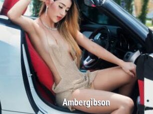 Ambergibson