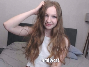 Amilycat