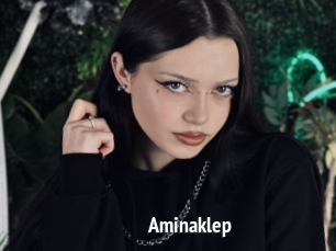 Aminaklep