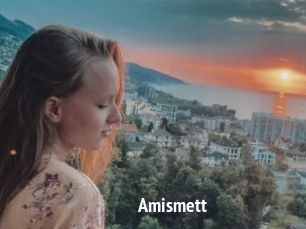 Amismett