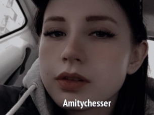 Amitychesser