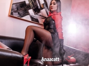 Anaacatt