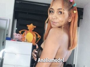 Analiamodel