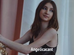 Angelicacant