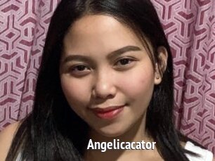 Angelicacator