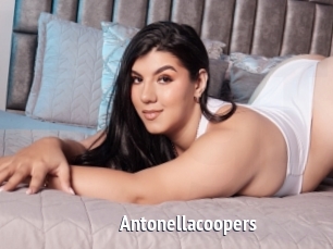 Antonellacoopers