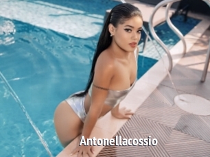 Antonellacossio