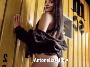 Antonellasallow