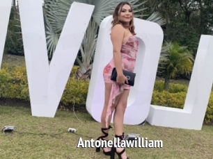 Antonellawilliam