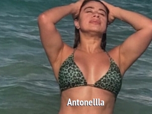 Antonellla