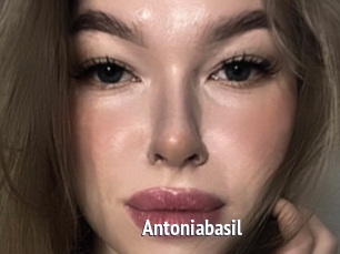 Antoniabasil