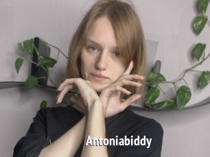 Antoniabiddy