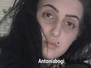 Antoniabogi