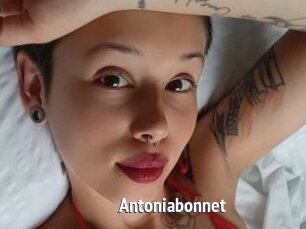 Antoniabonnet