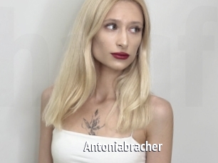 Antoniabracher