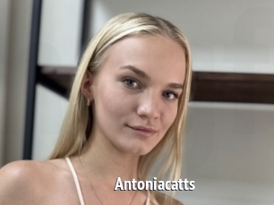 Antoniacatts