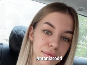 Antoniacodd