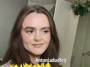 Antoniadudley