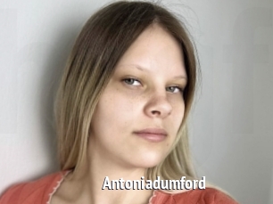 Antoniadumford