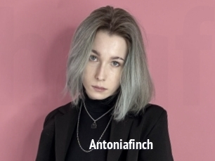 Antoniafinch