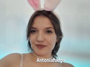 Antoniafudge