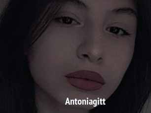 Antoniagitt