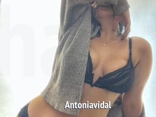 Antoniavidal