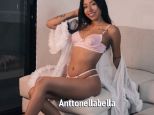 Anttonellabella