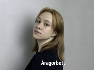 Aragorbett