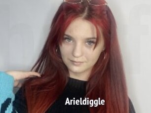 Arieldiggle