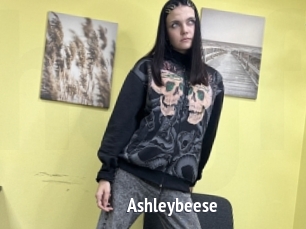 Ashleybeese