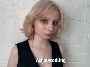 Ashleycodling