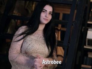 Astrobee