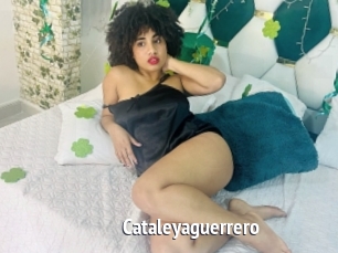 Cataleyaguerrero