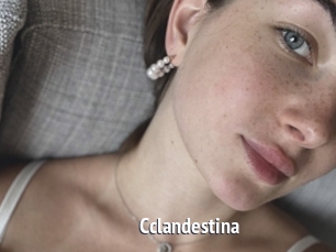 Cclandestina