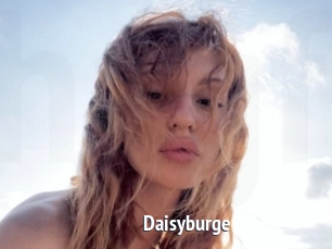 Daisyburge