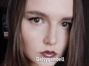 Daisygambell