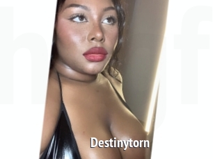 Destinytorn