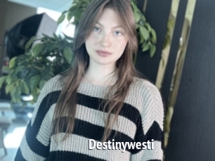 Destinywesti