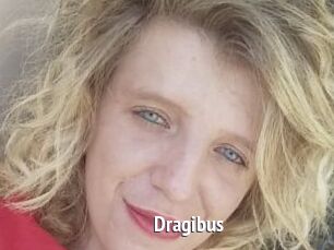 Dragibus